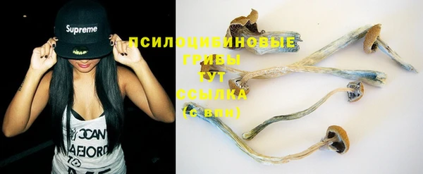 ешки Заводоуковск