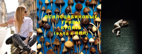 эйфоретик Заволжье